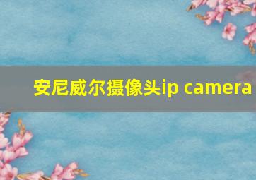 安尼威尔摄像头ip camera